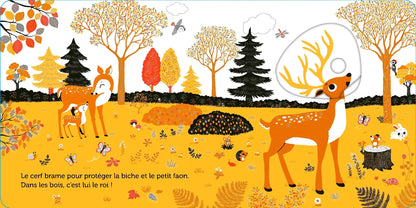 Promenade dans les bois - livre d'éveil animé, pour les bébés dès 6 mois