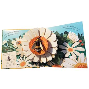 Pop-up les Petites Bêtes - Kimane