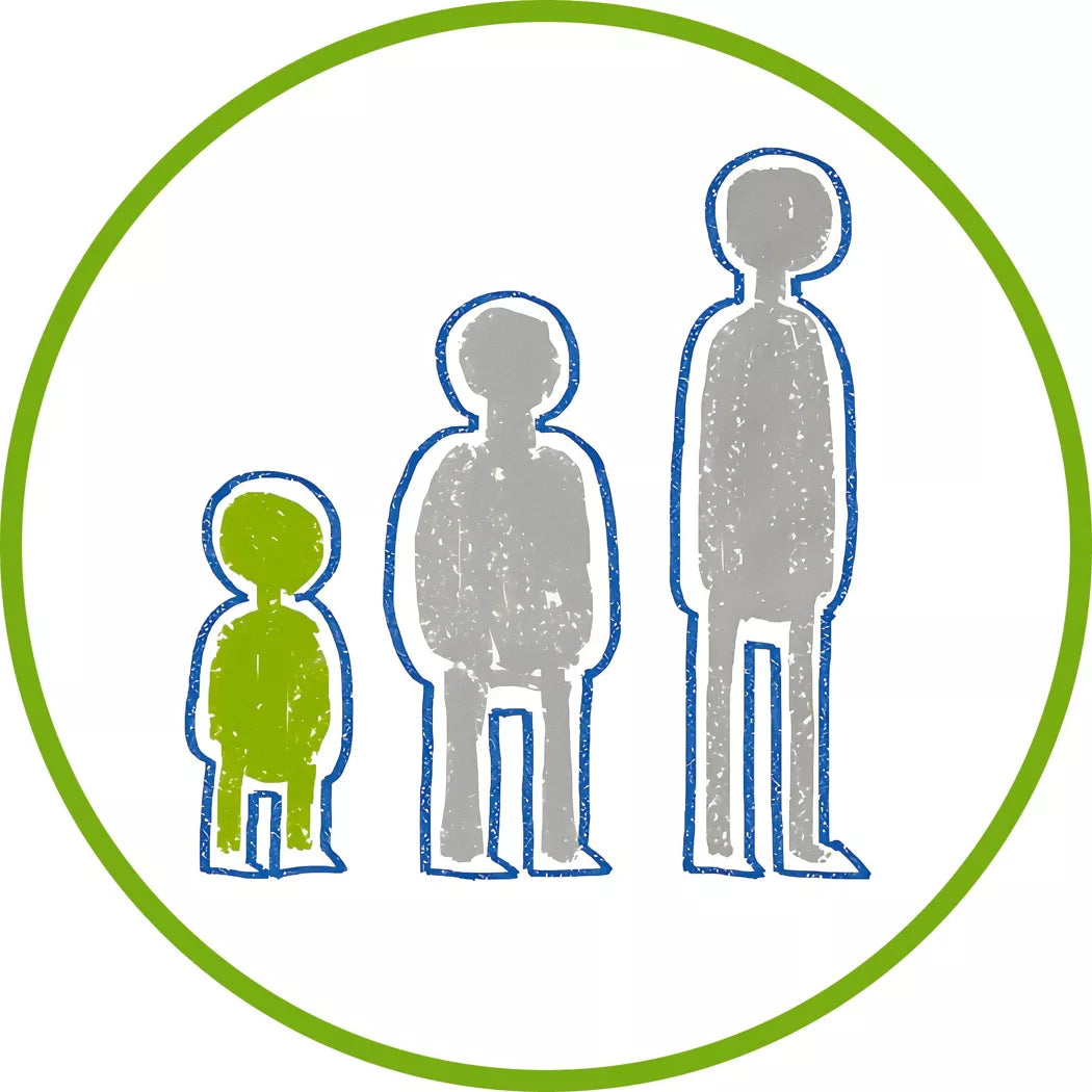 Etui carton x 6 crayons multi-talents STABILO woody 3 in 1 Edition "30 ans de fun" - Tigre + 1 taille-crayon