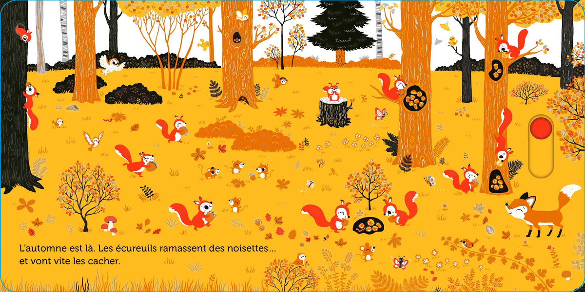 Promenade dans les bois - livre d'éveil animé, pour les bébés dès 6 mois