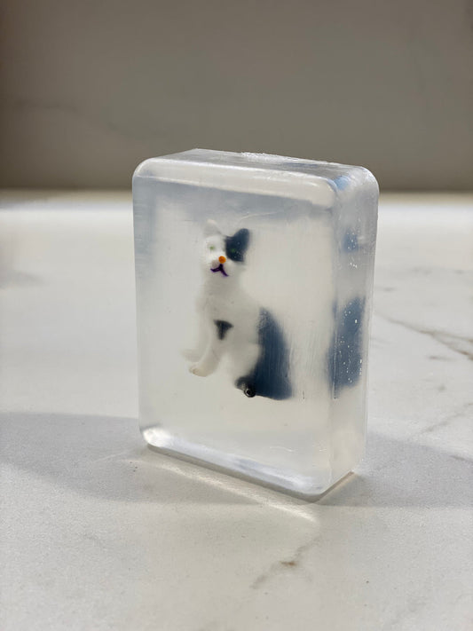 Savon #chat