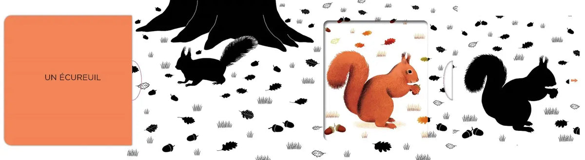 La forêt - Un livre en noir et blanc qui passe en couleurs grâce aux animations - Dès 6 mois - Nathan
