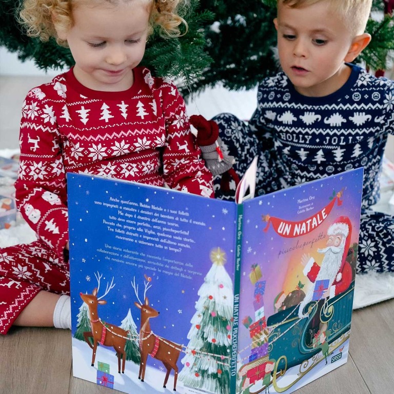 Un Noël plus que parfait – Album illustré Sassi