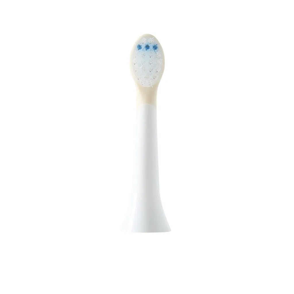 Têtes de rechange pour brosse à dents électrique – Lot de 2 | Zoofamily